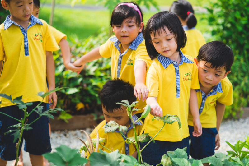 Preschool & Infant Care Punggol Northshore Singapore | Skool4Kidz