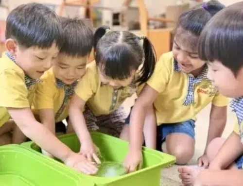 Skool4Kidz Preschoolers Champion Climate Adaptation at Go Green SG 2026